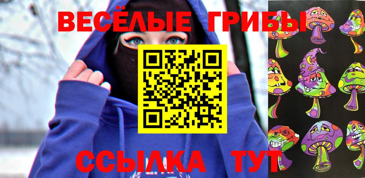 Псилоцибиновые грибы мицелий  Псилоцибиновые грибы GOLDEN TEACHER  Вход с VPN  Кохма 