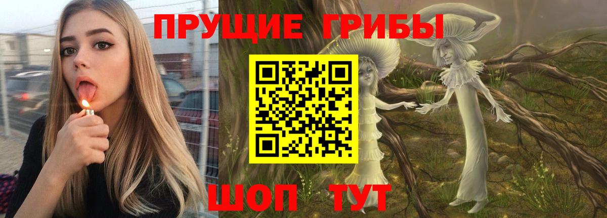 Псилоцибиновые грибы прущие грибы Кохма